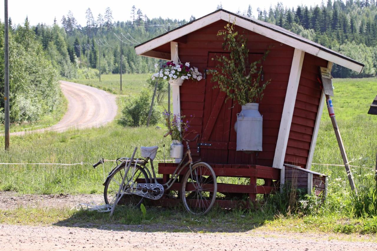 Maekelaen Lomatuvat Bed And Breakfast Korkeakoski  Екстер'єр фото
