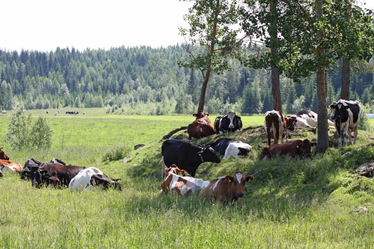 Maekelaen Lomatuvat Bed And Breakfast Korkeakoski  Екстер'єр фото